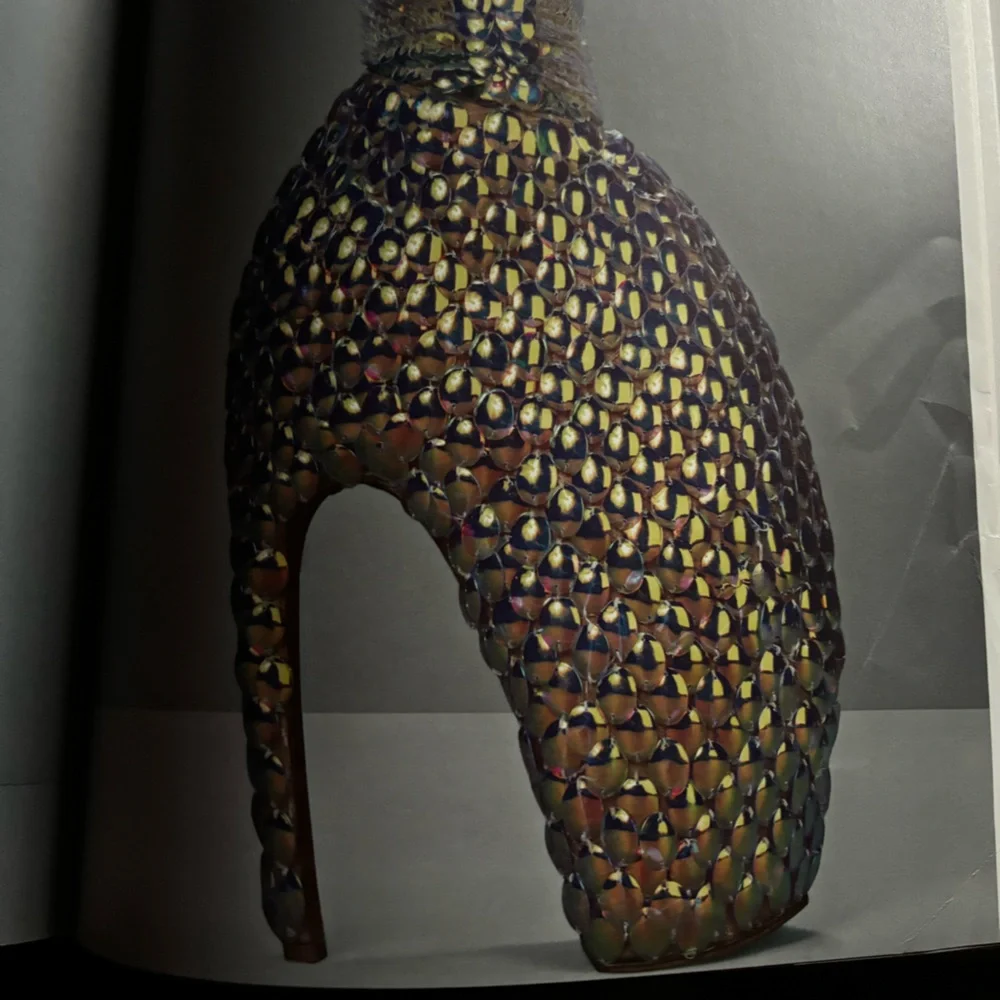 Alexander McQueen Savage Beauty 2011 Coffee Table Book - Picture 3 of 12